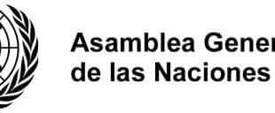 Asamblea General de las Naciones Unidas