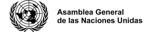 Asamblea General de las Naciones Unidas