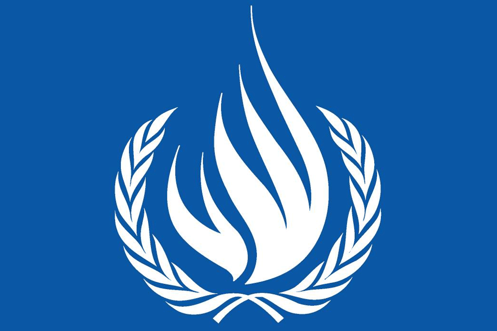 Oficina del Alto Comisionado de la ONU para los Derechos Humanos (OHCHR)