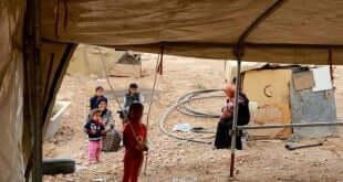 Los beduinos y pastores son afectados por las demoliciones en Cisjordania. Foto: UNRWA/Alaa Ghosheh