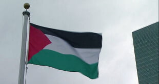 La bandera del Estado Palestino en la ONU. Foto: Captura de video UNTV