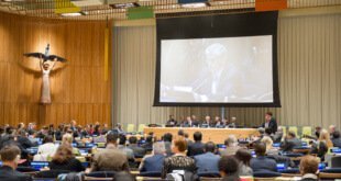 Los candidatos a Secretario General de la ONU se presentan ante la Asamblea General. Foto: ONU/Rick Bajornas