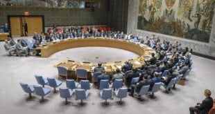 El Consejo de Seguridad vota resolución sobre el uso de armas químicas en Siria. Foto: ONU/Manuel Elías