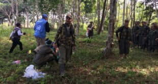 Imagen de la llegada de los últimos miembros de las FARC-EP a las zonas veredales. Foto: Misión de la ONU en Colombia