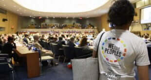 ONU/Loey Felipe La conferencia del departamento de información pública de la ONU y las ONGs.