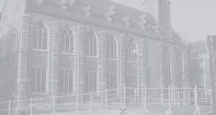 leiden journal of international law