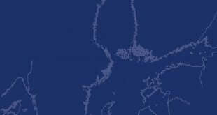 Baltic Yearbook of International Law Online - Volume 17 (2020): Issue 1 (Dec 2020)