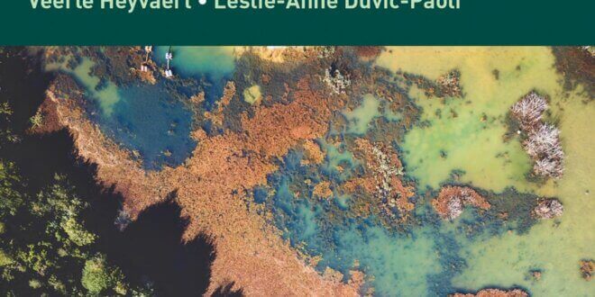 Research Handbook on Transnational Environmental Law