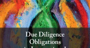 Due Diligence Obligations in International Human Rights Law