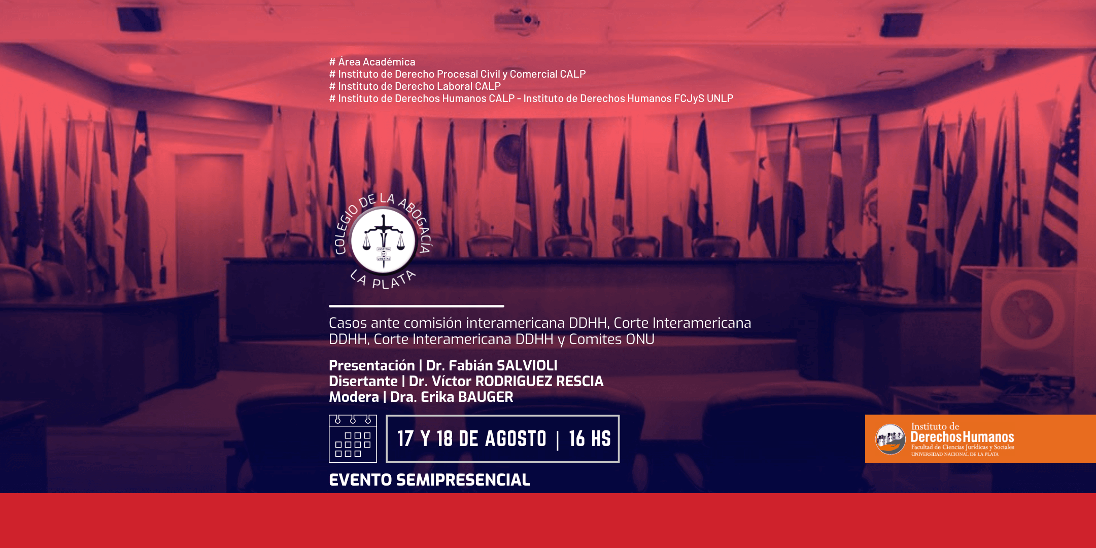 Litigio estratégico ante órganos internacionales 1 Litigio estratégico ante órganos internacionales