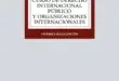 Curso de Derecho Internacional Público y Organizaciones Internacionales